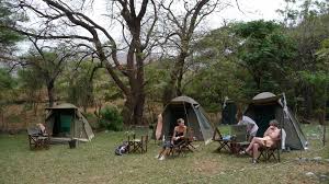 best tanzania safaris and tours 